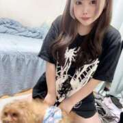 ヒメ日記 2025/04/09 18:45 投稿 ここあ ティンカーベル