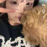 ヒメ日記 2025/04/11 06:30 投稿 ここあ ティンカーベル