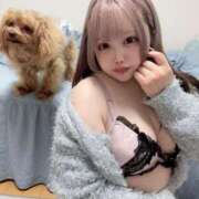 ヒメ日記 2025/04/16 07:32 投稿 ここあ ティンカーベル