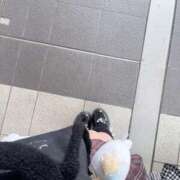 ヒメ日記 2025/04/24 08:56 投稿 ここあ ティンカーベル