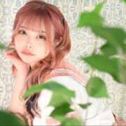 ヒメ日記 2025/05/14 20:15 投稿 ここあ ティンカーベル