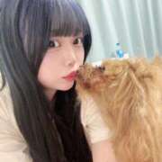 ヒメ日記 2025/05/23 10:45 投稿 ここあ ティンカーベル