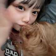 ヒメ日記 2025/06/03 10:27 投稿 ここあ ティンカーベル