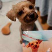 ヒメ日記 2025/06/04 19:00 投稿 ここあ ティンカーベル