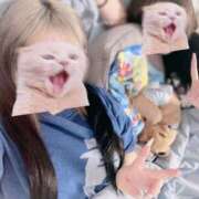 ヒメ日記 2025/06/14 07:01 投稿 ここあ ティンカーベル