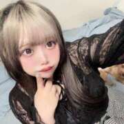 ヒメ日記 2025/06/30 04:59 投稿 ここあ ティンカーベル