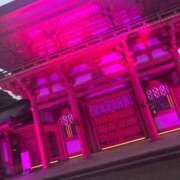 ヒメ日記 2025/07/07 22:47 投稿 ここあ ティンカーベル