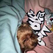 ヒメ日記 2025/07/12 16:40 投稿 ここあ ティンカーベル