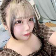 ヒメ日記 2025/07/12 17:45 投稿 ここあ ティンカーベル