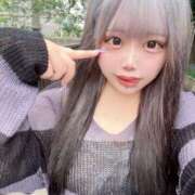 ヒメ日記 2025/07/13 07:05 投稿 ここあ ティンカーベル