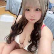 ヒメ日記 2025/07/24 17:45 投稿 ここあ ティンカーベル