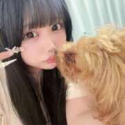 ヒメ日記 2025/07/25 15:30 投稿 ここあ ティンカーベル