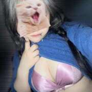 ヒメ日記 2025/07/28 18:30 投稿 ここあ ティンカーベル