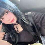 ここあ 土曜日‼️ ティンカーベル