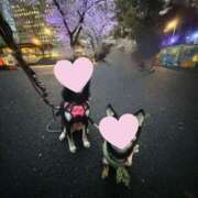 ヒメ日記 2025/04/03 20:39 投稿 不二子 ティンカーベル