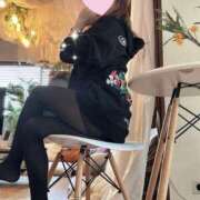 ヒメ日記 2025/07/01 22:15 投稿 不二子 ティンカーベル