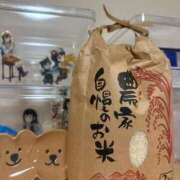 ヒメ日記 2025/10/10 12:03 投稿 不二子 ティンカーベル