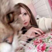 ヒメ日記 2025/06/24 12:47 投稿 れお ティンカーベル