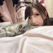 ヒメ日記 2025/08/28 18:12 投稿 れお ティンカーベル