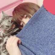 ヒメ日記 2025/09/01 19:19 投稿 れお ティンカーベル