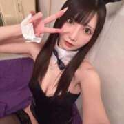 ヒメ日記 2025/11/11 17:54 投稿 れお ティンカーベル