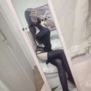 ヒメ日記 2025/11/14 21:15 投稿 れお ティンカーベル