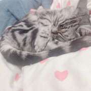 ヒメ日記 2025/11/15 17:37 投稿 れお ティンカーベル