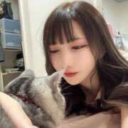 ヒメ日記 2026/02/13 14:41 投稿 れお ティンカーベル