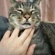 ヒメ日記 2025/05/17 22:34 投稿 ひびき ティンカーベル