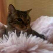 ヒメ日記 2025/05/28 23:12 投稿 ひびき ティンカーベル