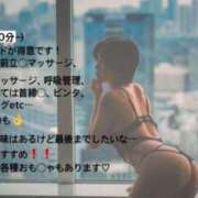 ヒメ日記 2025/06/01 13:51 投稿 ひびき ティンカーベル