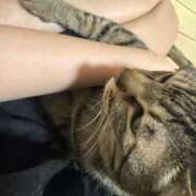 ヒメ日記 2025/07/27 00:18 投稿 ひびき ティンカーベル