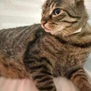 ヒメ日記 2025/07/27 15:05 投稿 ひびき ティンカーベル