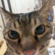 ヒメ日記 2025/07/29 22:27 投稿 ひびき ティンカーベル