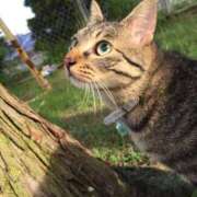 ヒメ日記 2025/07/30 23:25 投稿 ひびき ティンカーベル