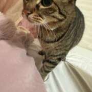 ヒメ日記 2025/07/31 17:02 投稿 ひびき ティンカーベル