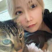 ヒメ日記 2025/08/05 17:18 投稿 ひびき ティンカーベル