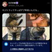 ヒメ日記 2025/08/05 18:35 投稿 ひびき ティンカーベル