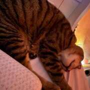 ヒメ日記 2025/08/08 20:39 投稿 ひびき ティンカーベル