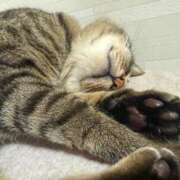 ヒメ日記 2025/08/19 21:55 投稿 ひびき ティンカーベル