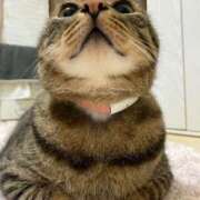 ヒメ日記 2025/08/25 18:37 投稿 ひびき ティンカーベル