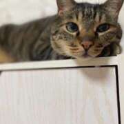 ヒメ日記 2025/08/25 20:58 投稿 ひびき ティンカーベル