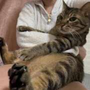 ヒメ日記 2025/09/06 14:49 投稿 ひびき ティンカーベル