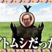 ヒメ日記 2025/09/07 16:24 投稿 ひびき ティンカーベル