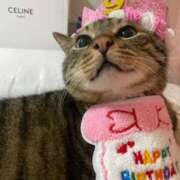 ヒメ日記 2025/09/10 23:25 投稿 ひびき ティンカーベル