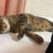 ヒメ日記 2025/09/19 15:15 投稿 ひびき ティンカーベル