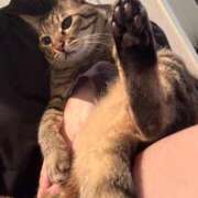 ヒメ日記 2025/09/25 07:09 投稿 ひびき ティンカーベル