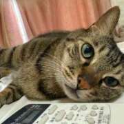 ヒメ日記 2025/09/27 15:00 投稿 ひびき ティンカーベル