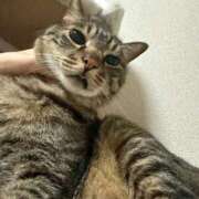 ヒメ日記 2025/10/07 20:46 投稿 ひびき ティンカーベル