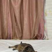 ヒメ日記 2025/10/08 22:13 投稿 ひびき ティンカーベル